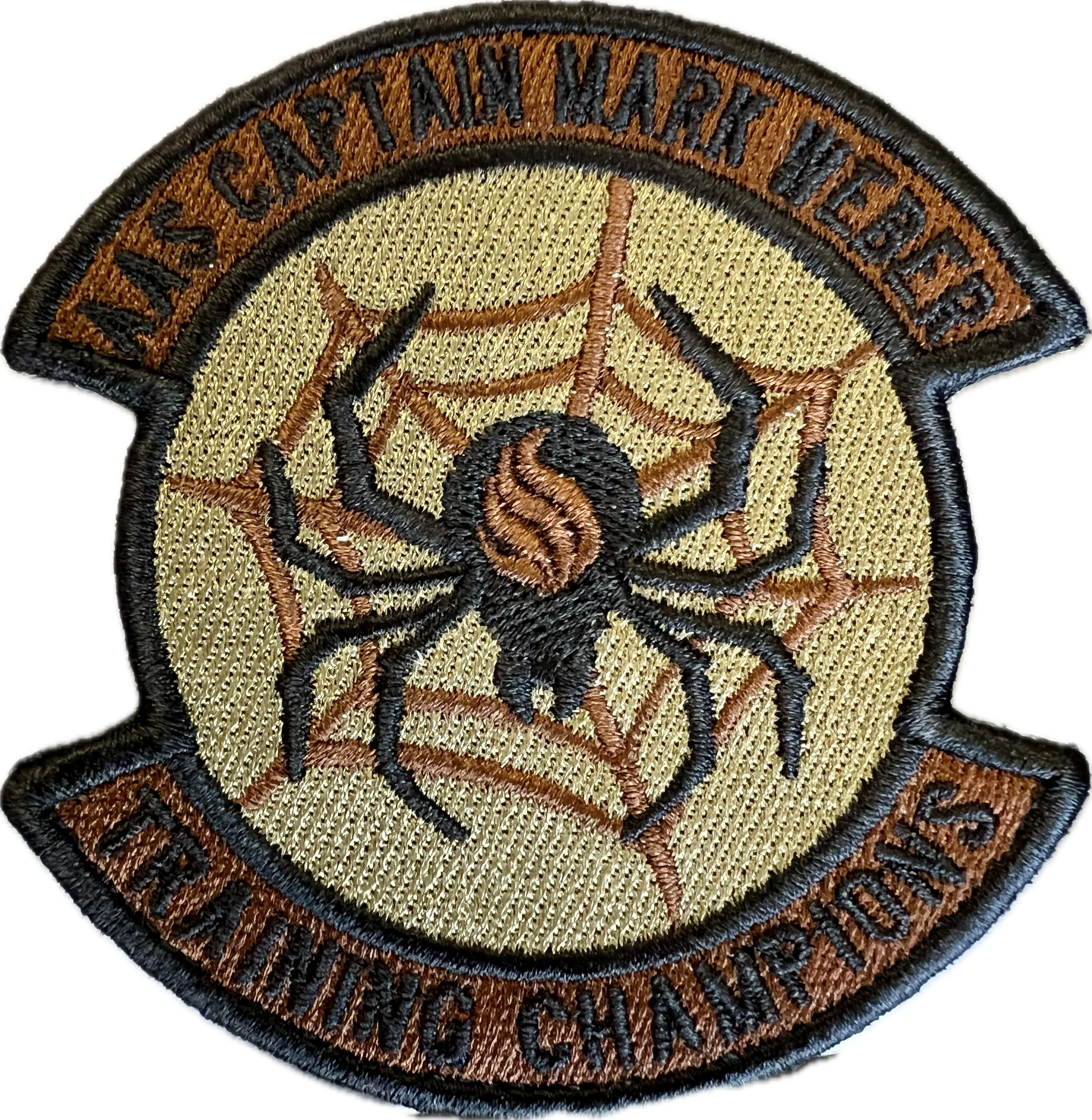 Capt Mark K Weber Squadron - AAS