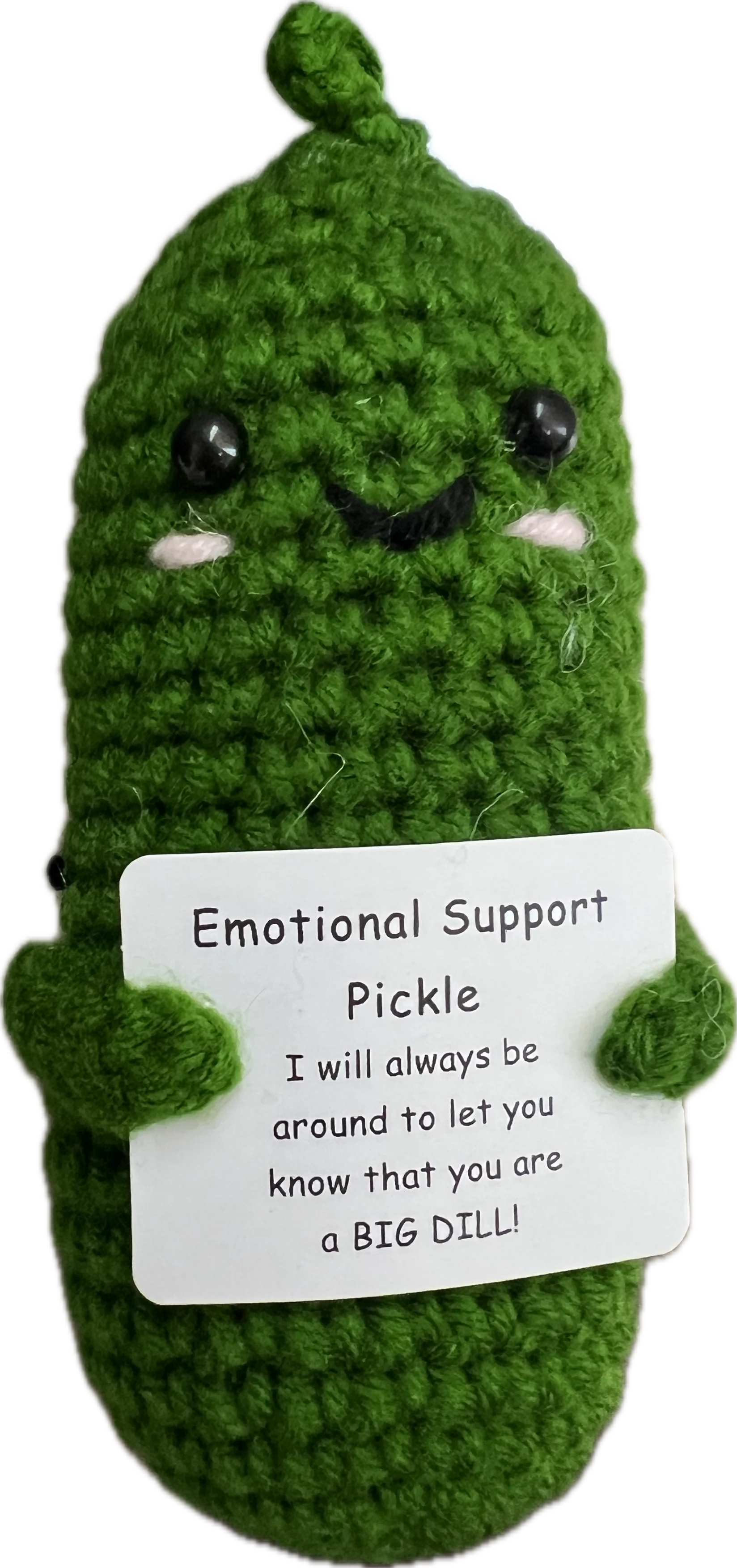 Emotional Support Pickle