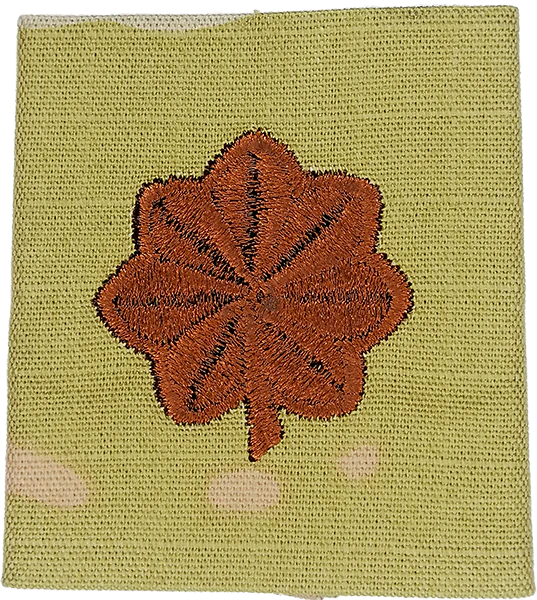 O4 Major -- U.S. AIR FORCE OCP RANK -- GOR-TEX JACKET