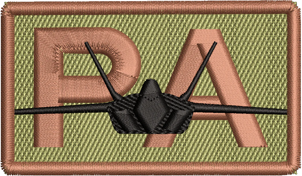 PA - Duty Identifier Patch with F-22